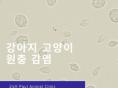 강아지 고양이 설사 원인 지알디아, 트리코모나스 알아보기