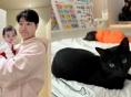 박수홍, 반려묘 '다홍이'와 딸 함께 낮잠자는 일상 공개..."우리 집 복덩이들"