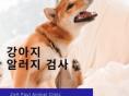 강아지 알레르기 검사 종류, 항목, 비용 알아보기
