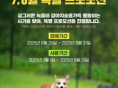 강아지숲, '7~8월 온라인 특별 프로모션' 진행...'최대 30% 할인'