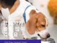 강아지가 물을 많이 먹어요!