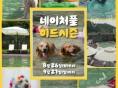 '여름 끝자락까지 신나게 물놀이를!'...강아지숲 '네이처풀 미드시즌' 예매, 오는 15일 오픈