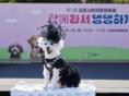 김포시, 반려문화축제 '함께라서 댕댕하개 in 김포' 성료