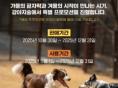 "강아지도, 보호자도 신난다!" 강아지숲, 연말까지 특별 프로모션 진행