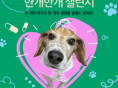 녹십자수의약품, 실험종료 비글 돕는 '한개한개 챌린지' 진행