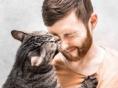 고양이가 당신을 핥는 4가지 과학적 이유: "단순한 세수가 아닙니다"