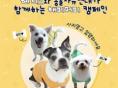 '강아지의 날' 역대급 전시회, 유기견 입양 캠페인 등 다양한 행사