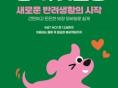 이마트, DB손보와 손잡고 펫보험 출시…고령 반려동물 가입 문턱 낮춰