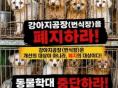 동물보호연합,  "강아지 공장(번식장)을 폐지하라!"