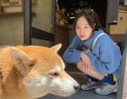 걸스데이 방민아, 여행 중 전한 반가운 근황..'강아지들과 찰칵!'