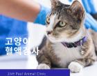 고양이 '혈액검사' 왜 필요할까요?