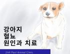 강아지 혈뇨 원인과 치료법 알아보기