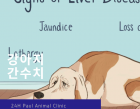 강아지 간 수치 증가의 의미와 관리법 알아보기