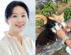 김희애, 길냥이 형제 간식 챙겨주는 평안한 일상 공개..."맛있게 먹어 좋네요"