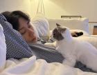 코드 쿤스트, 반려묘 '시루♥판다'와의 행복한 일상..."비 내리는 소리 토도토도독"