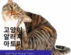 고양이 아토피 피부염에 대해 알아보기