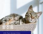 고양이 갑상선 기능 항진증에 대해 알아보기