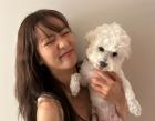 윤보미, 반려견 '설탕♥소금'이와의 투 샷 공개..."내 힐링둥이"