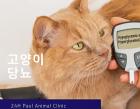 고양이 당뇨 관리와 치료법