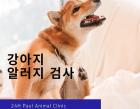 강아지 알레르기 검사 종류, 항목, 비용 알아보기