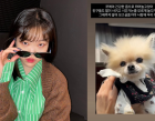 이수현, 반려견 '쪼메'와 가슴 아픈 이별..."많이 보고 싶을 거야"