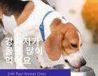 강아지가 물을 많이 먹어요!