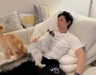 코드 쿤스트, 반려묘 '시루♥판다' 향한 애정 표현..."싸랑해"