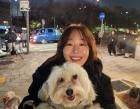 엄지원, 반려견 '비키'와 함께하는 겨울 일상 공개..."마음은 스키장"