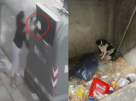 꼬리치는 강아지 그대로 쓰레기통에 버린 여성 CCTV에 포착