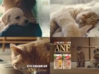 우리와, ANF 6Free 광고 캠페인 런칭.."이해하니까 무해하게"