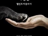 '까뭉상사', 오는 3월 2일 유기동물 위한 바자회 개최