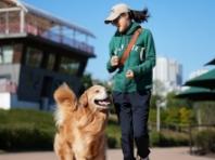 문정희, 반려견 '마누'와 즐긴 가을 산책..."감사하고 따뜻하다"