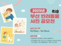 부산시, '반려동물 사진 공모전' 개최...'상금 총 169만 원'
