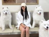 김사랑, 사모예드들과 함께한 행복한 순간 공개..."몽글몽글한 시간!♡"
