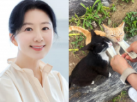 김희애, 길냥이 형제 간식 챙겨주는 평안한 일상 공개..."맛있게 먹어 좋네요"