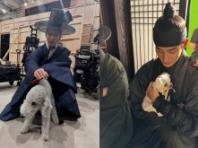 '탄금' 촬영 현장에 등장한 귀여운 댕댕이들 모음.zip
