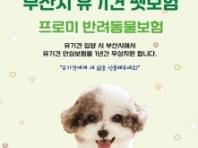 부산시, 유기견 입양하면 1년간 펫보험 무료 지원한다...'1천만 원 한도 내 보장'