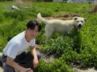 허남준, 대형견과 산책하는 훈훈한 일상 공개