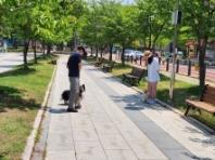 성남시, "반려동물 문제 행동, 무료로 1:1 상담해 드려요!"