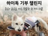 '댓글 1건당 1팩 기부'...하이독, 동물자유연대와 '노견 행복 기부 챌린지' 진행