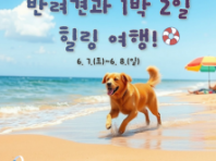 '반려견과 강릉서 1박 2일 힐링 여행!' 강원관광재단, 체류형 펫상품 본격 운영