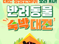 '댕댕이랑 여행하면 최대 5만 원 할인!'...태안군, '반려동물 숙박대전' 개최