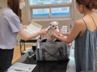 "반려동물과 해외여행 시 '동물검역증명서' 필수로 챙기세요!"