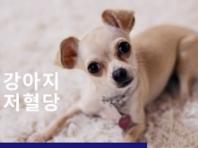강아지 저혈당의 원인과 치료법