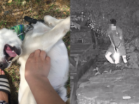 '해병대 비비탄 난사' 가해자에게 왜 그랬냐 물으니..그냥 반응이 궁금해서