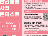 "우리 집 최고 귀요미 자랑하세요!" 김포시, 반려동물 사진 콘테스트 개최