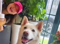 김원효♥심진화 부부, 반려견 '태풍이'와 즐긴 여유로운 산책..."오늘 우리"