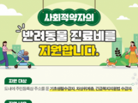 강원도, 반려동물 유실·유기 예방을 위한 '동물등록제·반려동물 진료비 지원사업' 집중 홍보