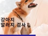 강아지 알레르기 검사 종류, 항목, 비용 알아보기