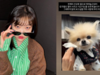 이수현, 반려견 '쪼메'와 가슴 아픈 이별..."많이 보고 싶을 거야"
